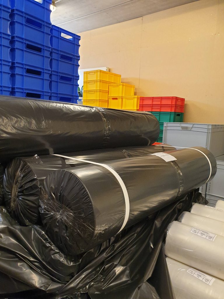 2 bache 20240328_151236 bache